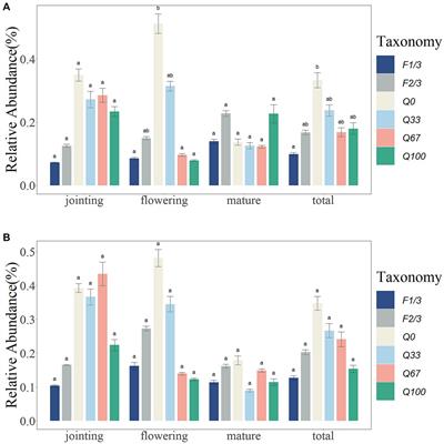 Effects of frequency and amount of stover mulching on the microbial community composition and structure in the endosphere and rhizosphere